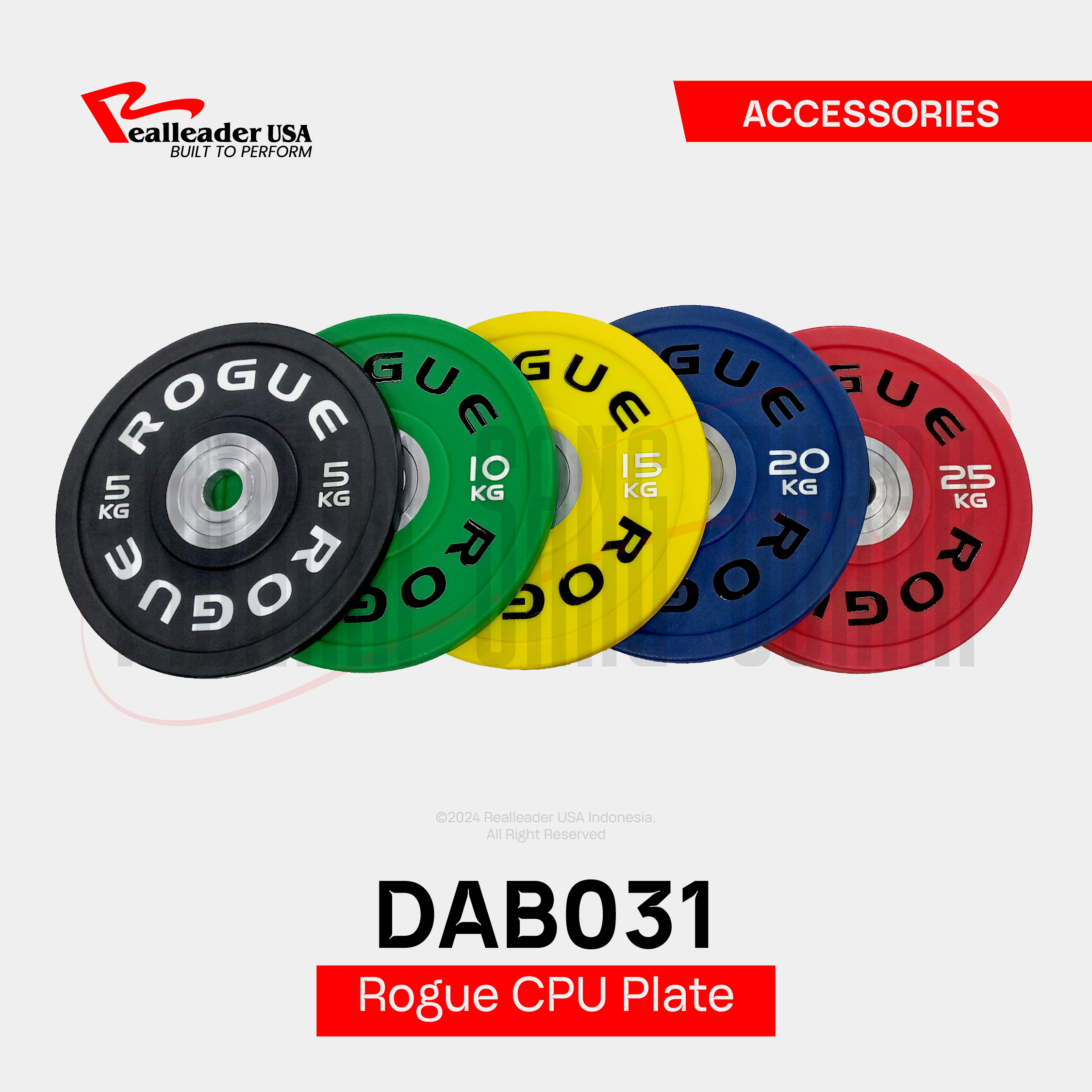 DAB031 Rogue CPU Plate