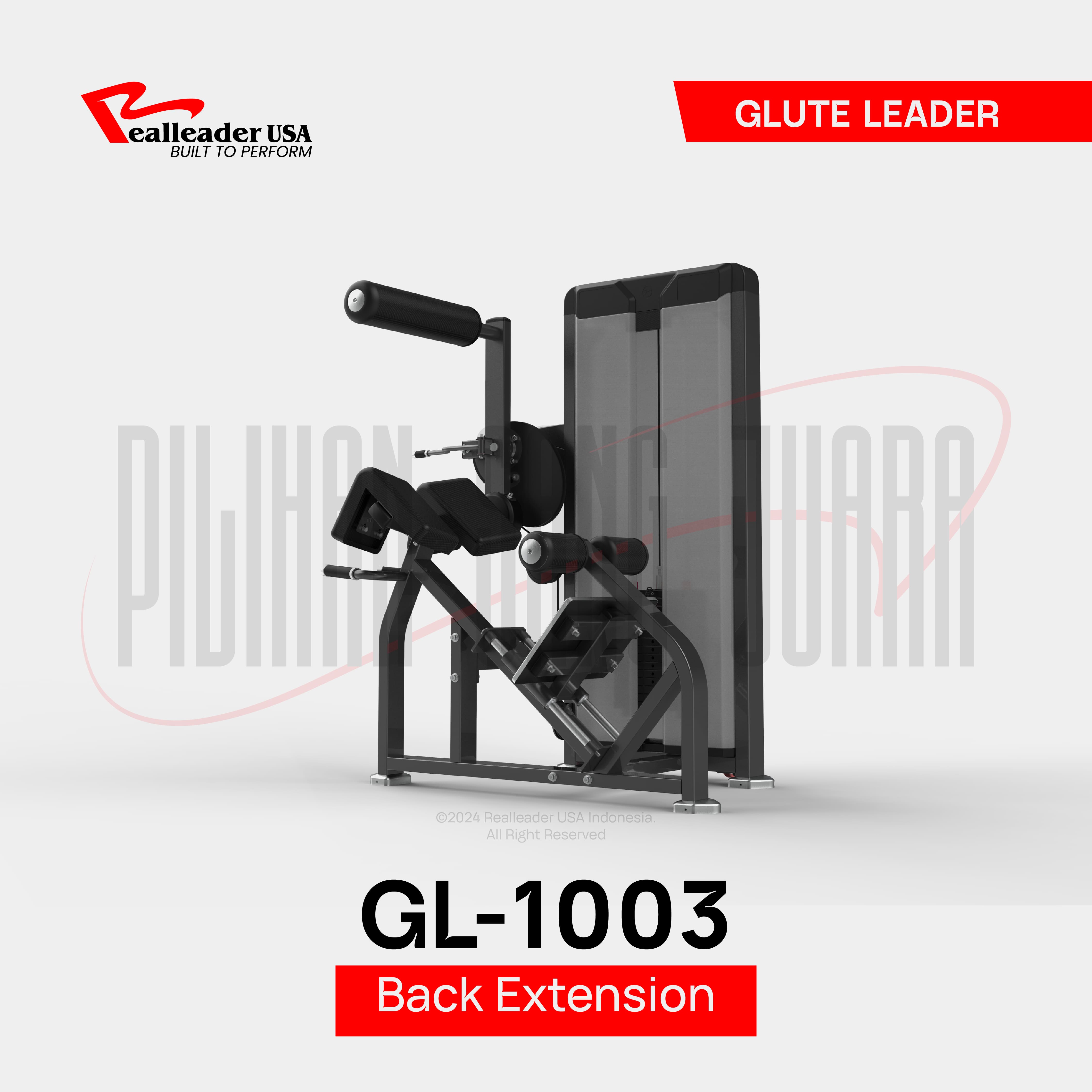 GL-1003 Back Extension