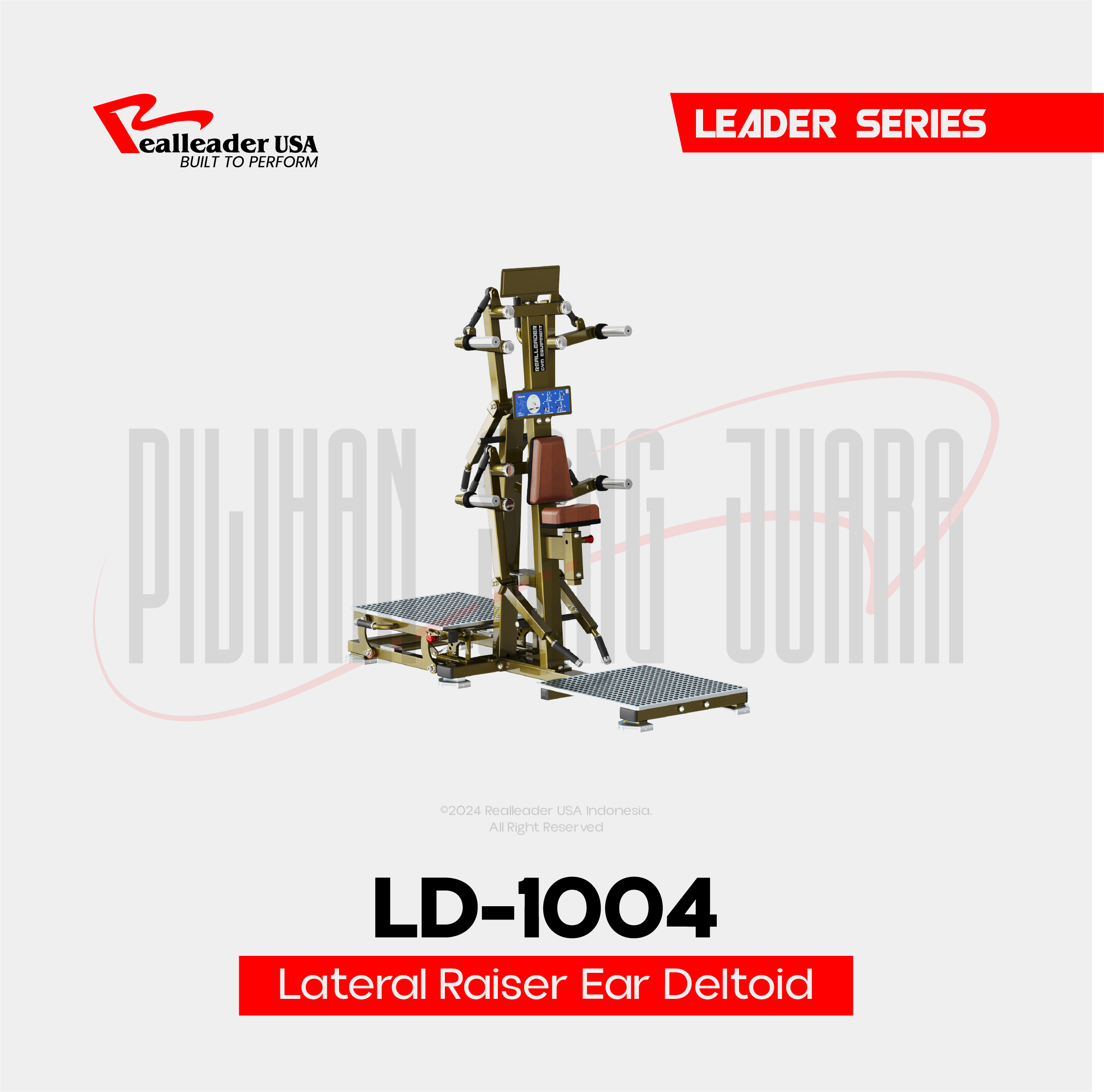 LD-1004 Lateral Raise/Rear Deltoid