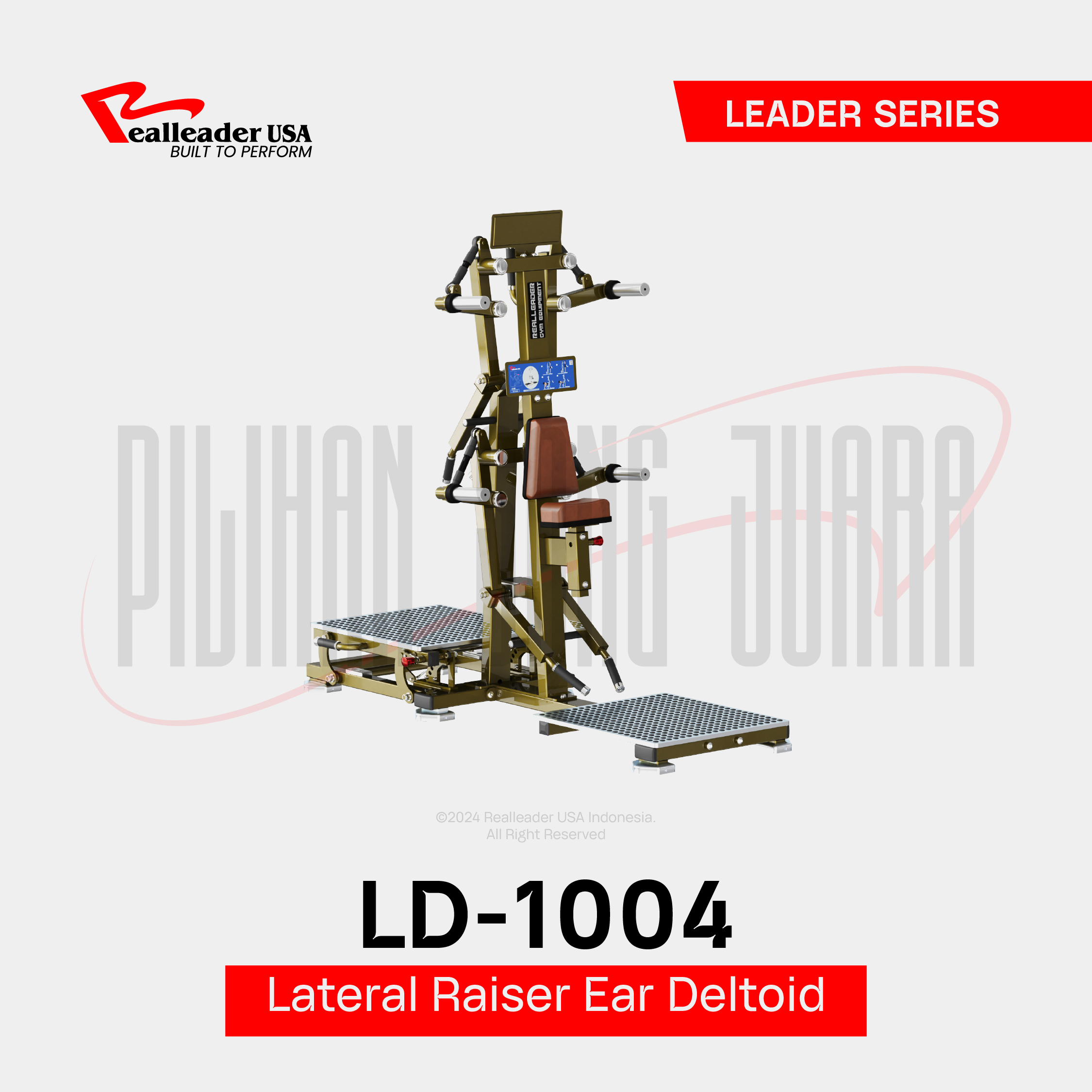 LD-1004 Lateral Raise/Rear Deltoid