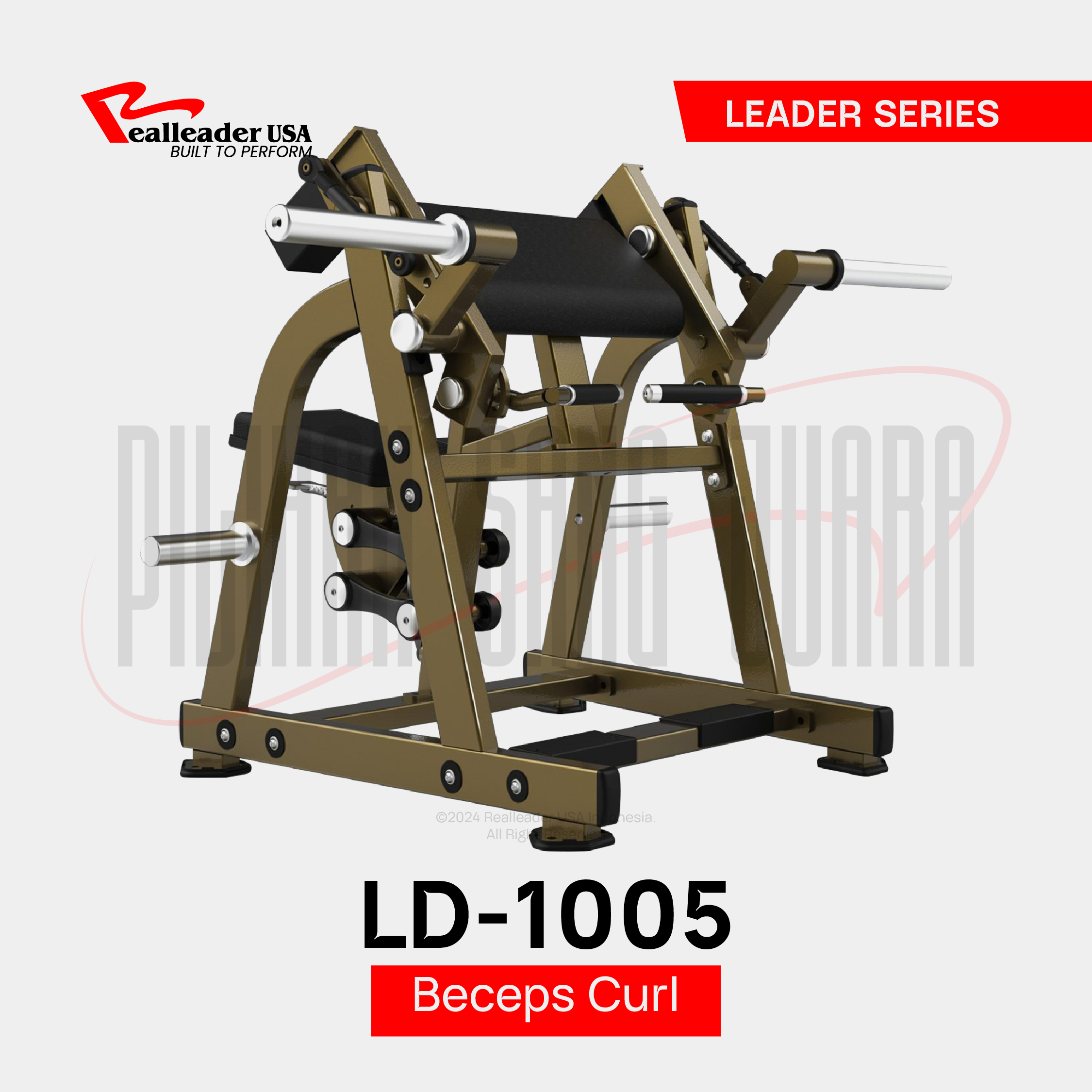 LD-1005 Seated Biceps Curl