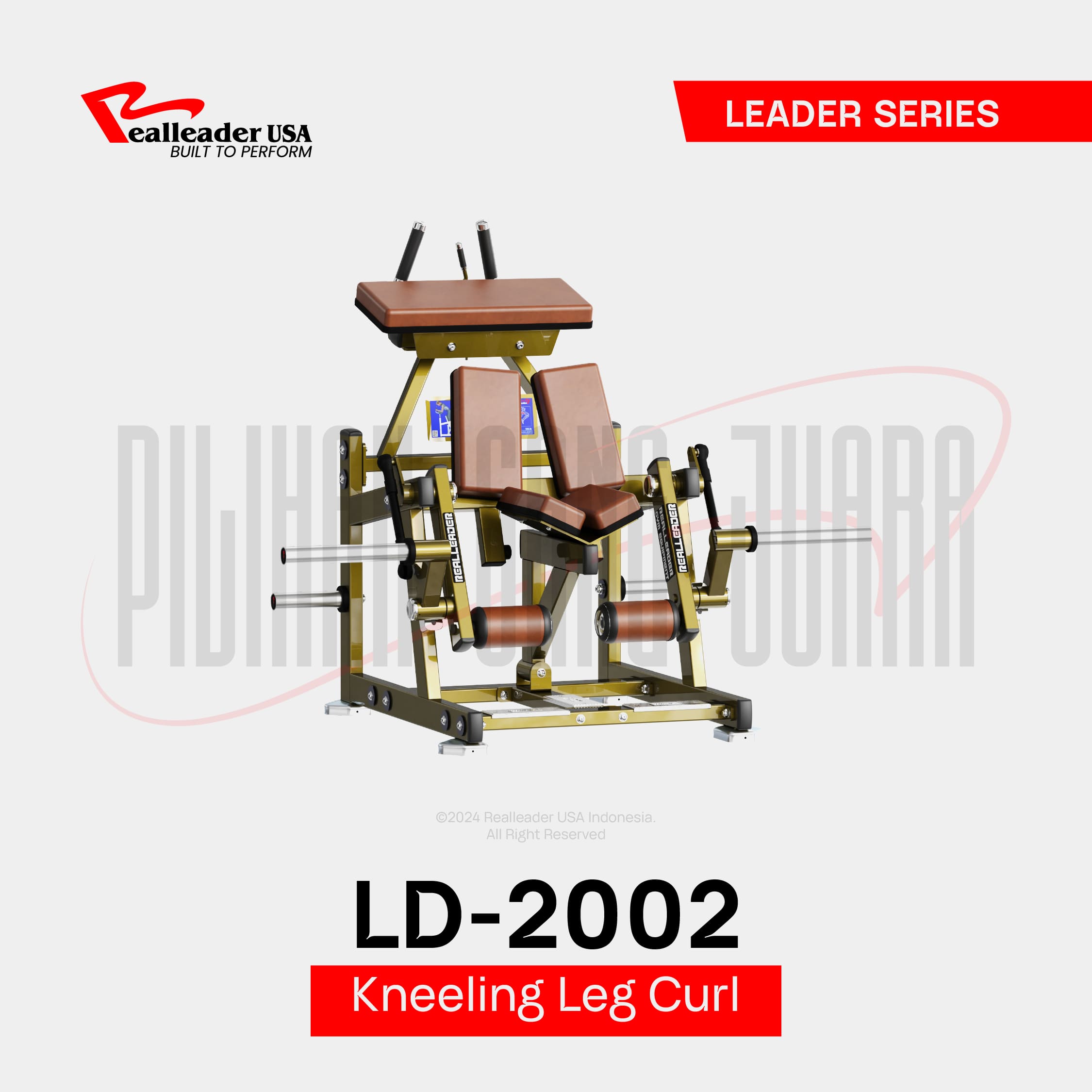 LD-2002 Kneeling Leg Curl