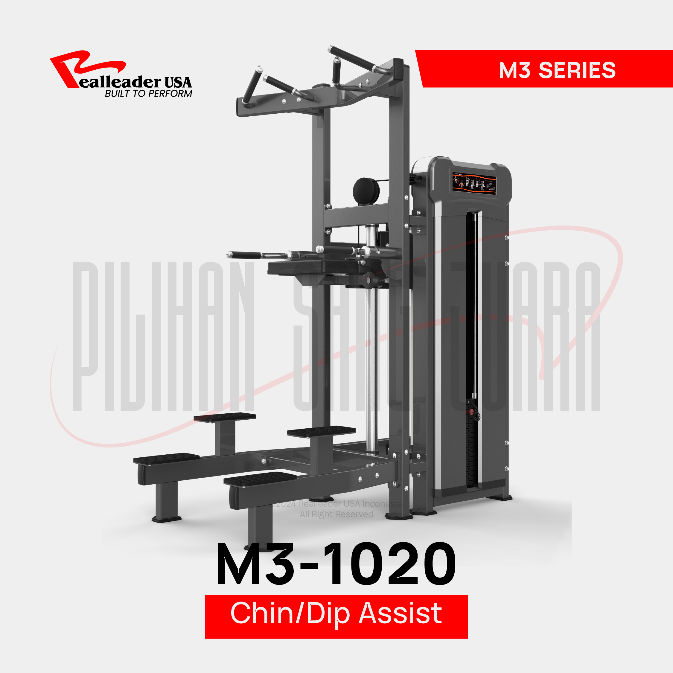 M3-1020 Chin/Dip Assist
