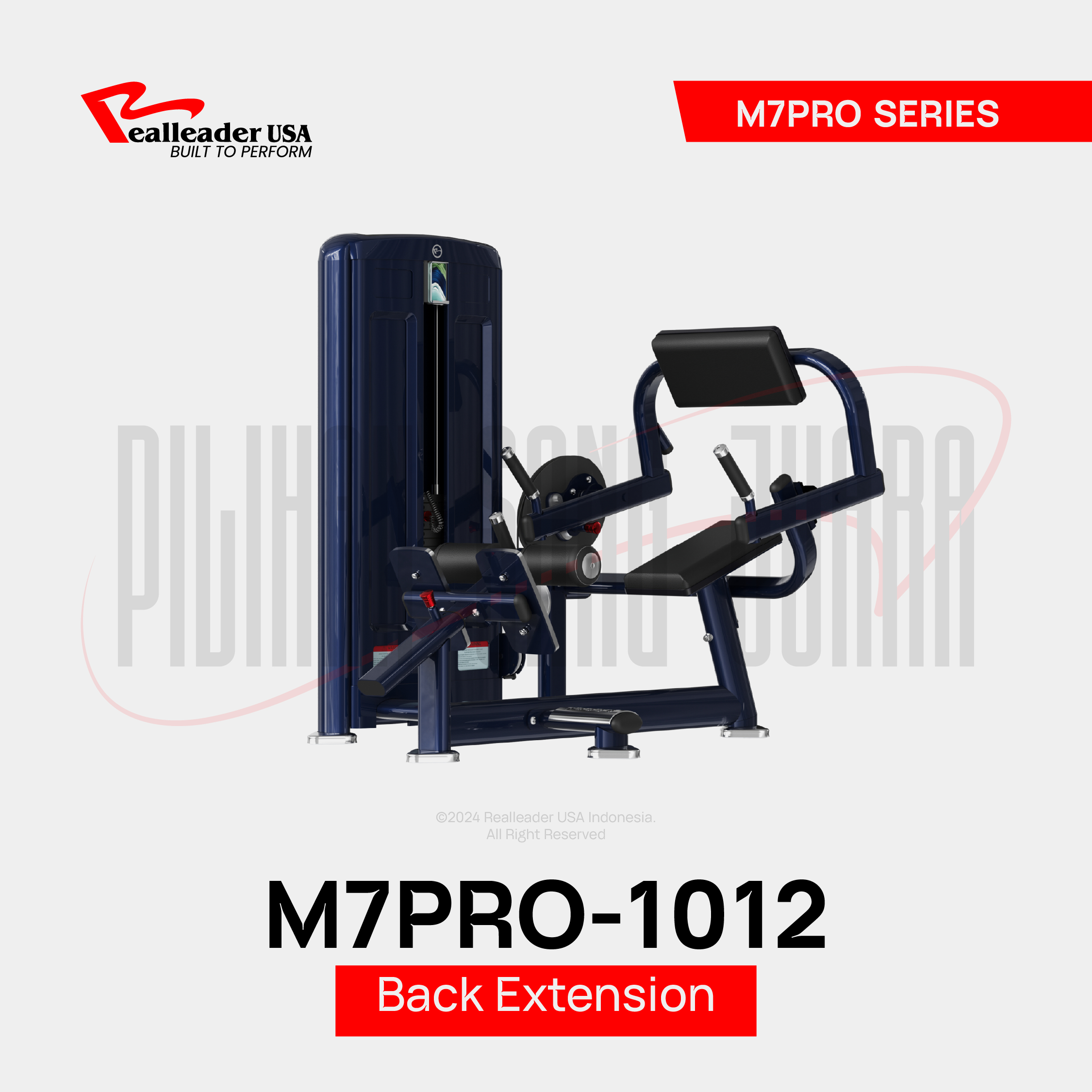 M7PRO-1012 Back Extension