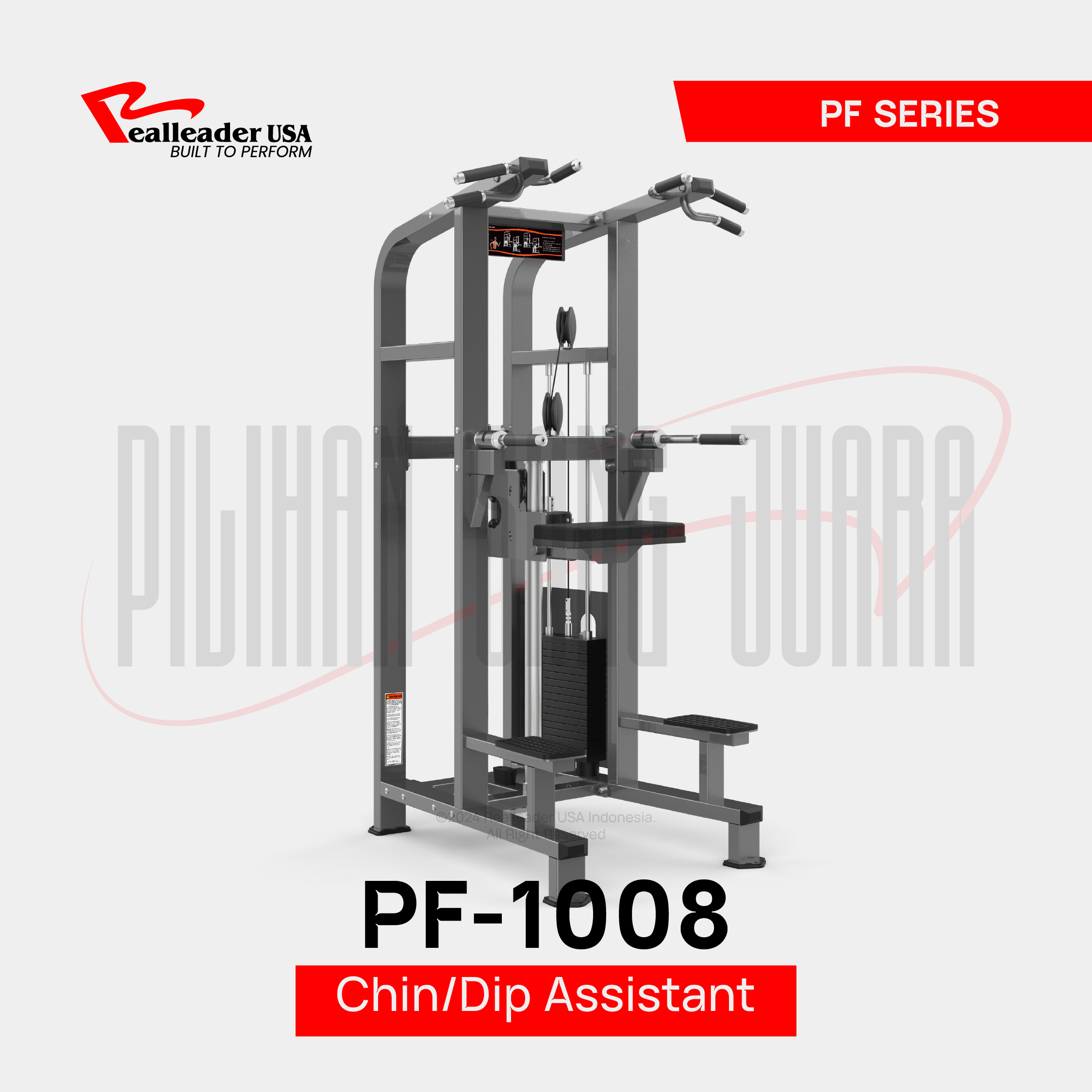 PF-1008 Chin/Dip Assitant