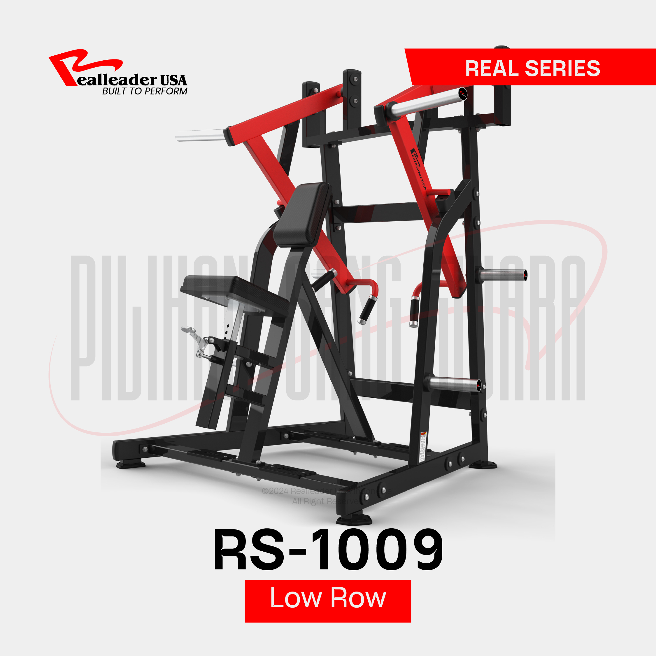 RS-1009 Low Row