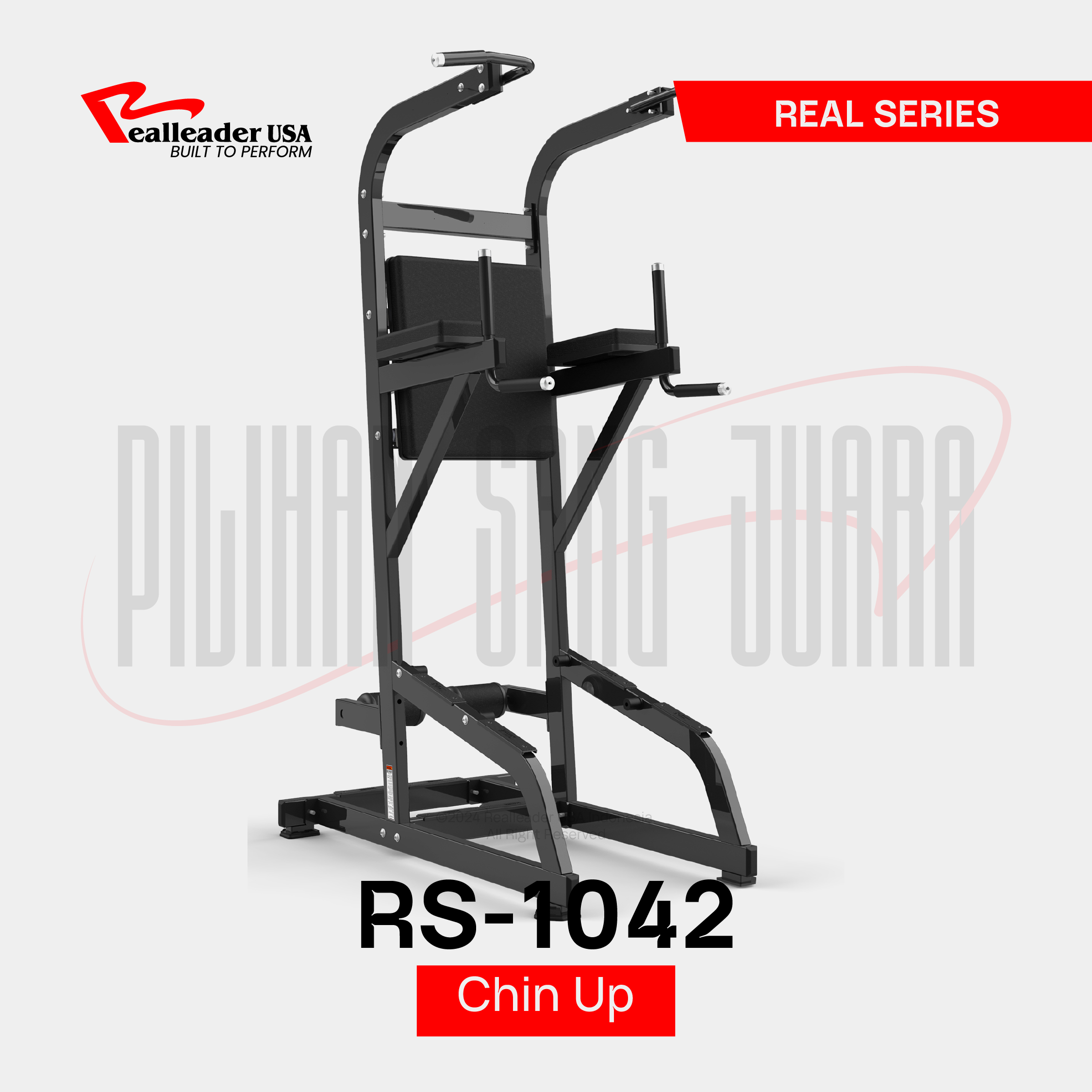RS-1042 Chin Up&Dip