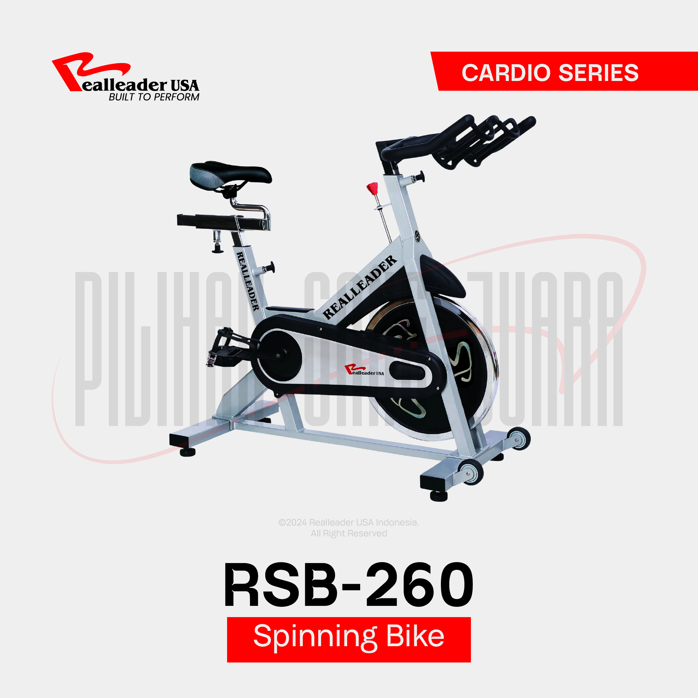RSB-260 Spinning Bike